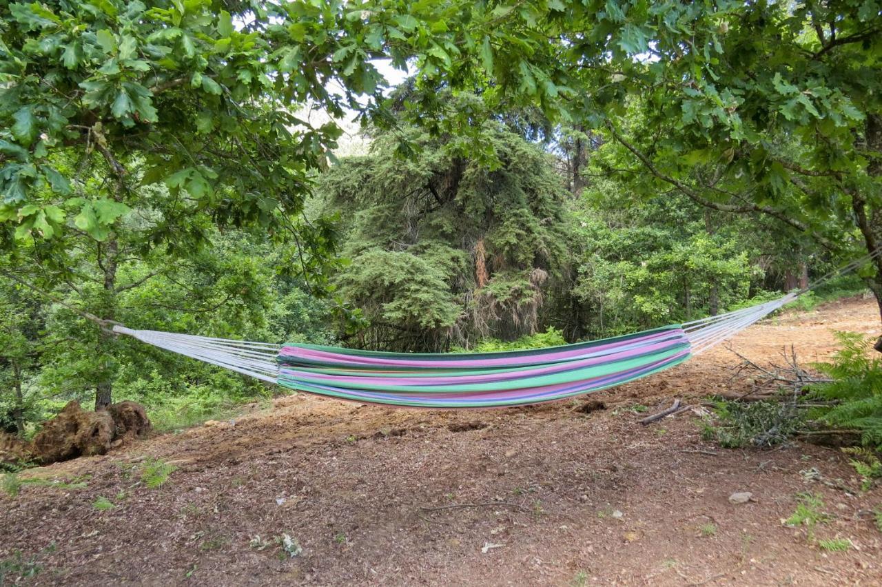 Quinta Sao Jose - Museu Do Triciclo Villa Mesão Frio Kültér fotó